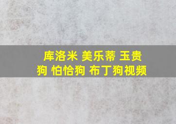 库洛米 美乐蒂 玉贵狗 怕恰狗 布丁狗视频